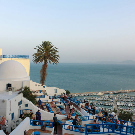 Voyage à Tunis tout compris avec billet d’avion – Hôtels sur demande !